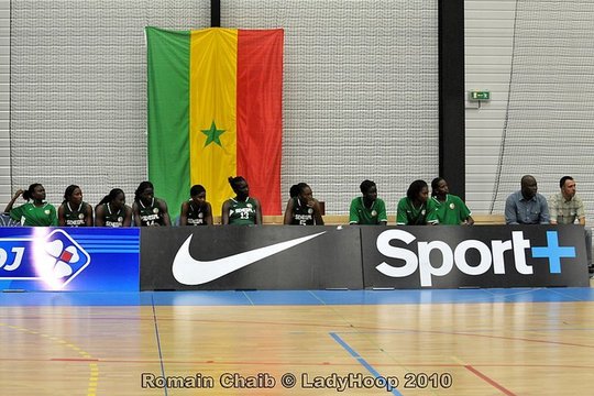 Les Lionnes qualifiées en quarts de finale