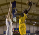 ESPAGNE : 31 éme Journée ACB , match avancé Gran canaria 2014- Meridiano alicante  82-77